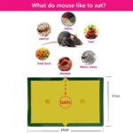 Mouse Board Sticky Mice Glue Trap High Effective Rodent Rat Bugs Catcher - Image 8
