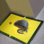 Mouse Board Sticky Mice Glue Trap High Effective Rodent Rat Bugs Catcher - Image 2